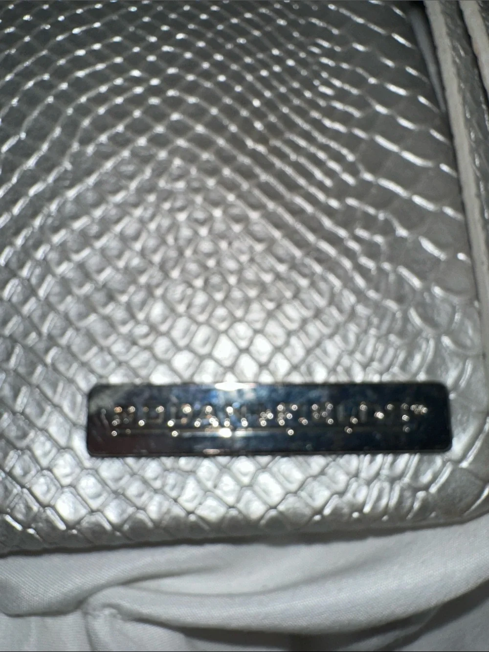NWOT Rodan + Fields Metallic Silver Snake-Embossed Cosmetic Pouch